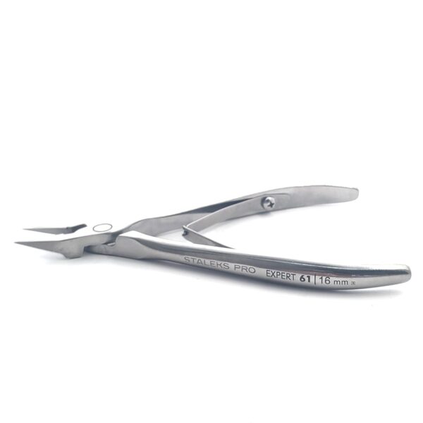 צבתית מקצועית